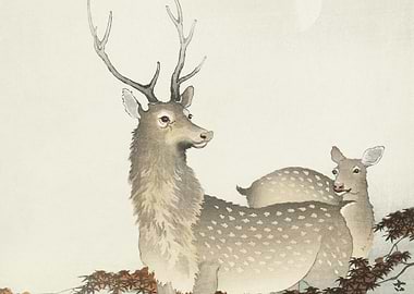 Couple Of Deers 1900 1930
