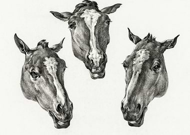 Three Horse Heads 1812 By