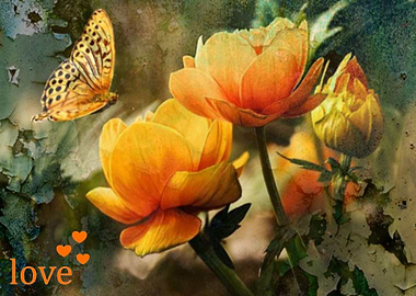 Butterfly Peeling Flowers