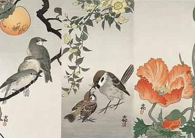 Birds And Plants 1900 193