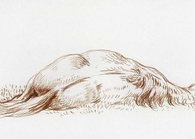 Lying Horse By Jean Bernar