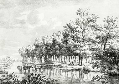 Landscape With Wading Cows