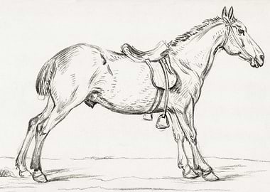 Saddled Horse 1823 By Jean
