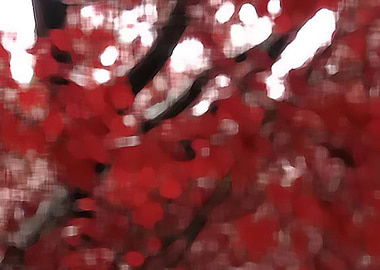 Abstract Contemporary art