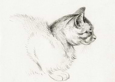 Sketch Of A Cat 1812 By Je