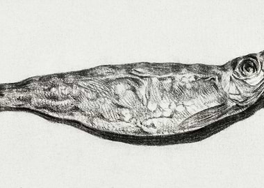 Sprat By Candlelight 1803