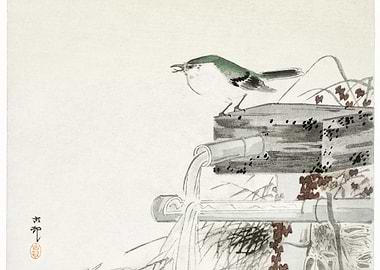 Blue Nightingale 1900 193