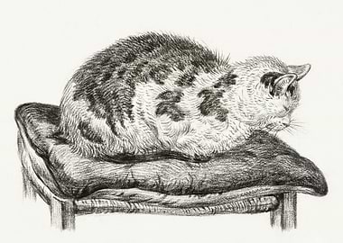 Lying Cat On A Pillow 1828