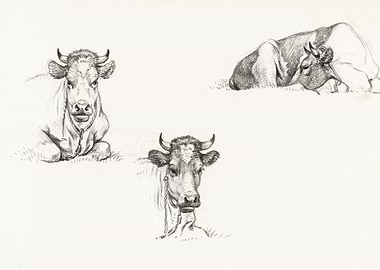 Three Sketches Of A Lying