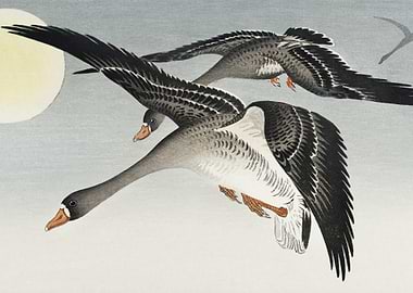 Birds At Full Moon 1900 1