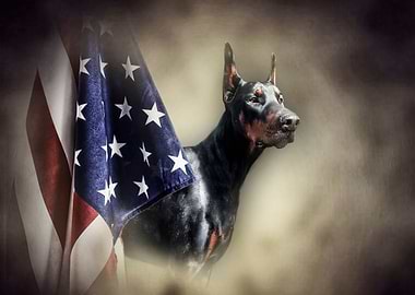 Doberman and American flag