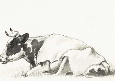 Lying Cow By Jean Bernard