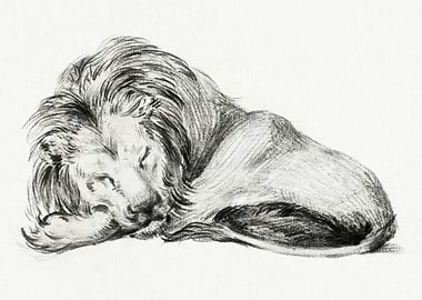 Lying Lion By Jean Bernard