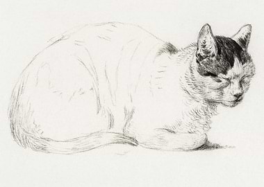 Sketch Of A Cat 1815 By Je