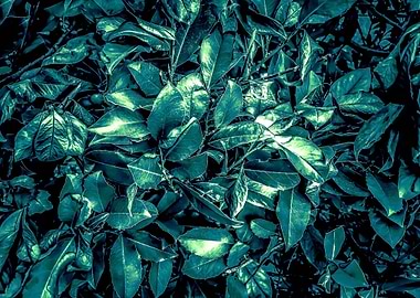 green leaves texture