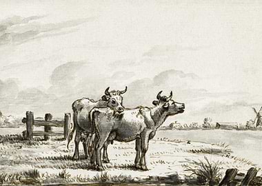 Two Cows In The Pasture By