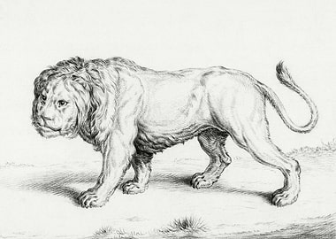 Lion By Jean Bernard 17751
