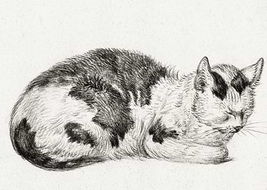 Lying Cat 1828 By Jean Ber