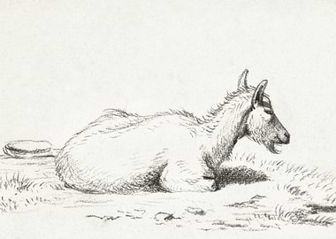 Lying Goat 1816 By Jean Be