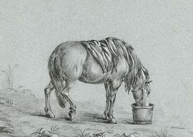 Horse Eating From A Bin By