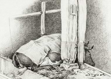 Lying Cow 1812 By Jean Ber