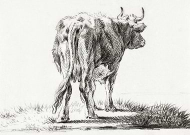 Standing Cow By Jean Berna