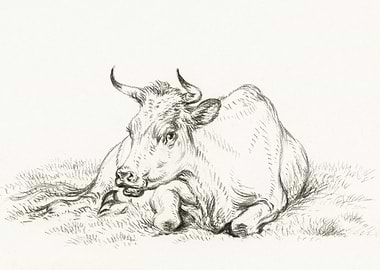 Lying Cow 1826 By Jean Ber