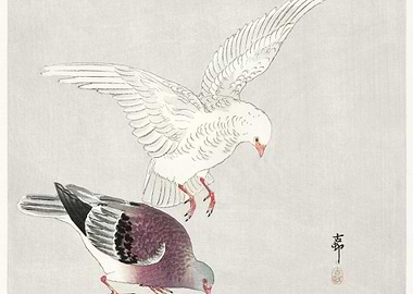 Two Pigeons 18771945 By Oh
