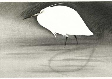 Egret 1900 1930 By Ohara