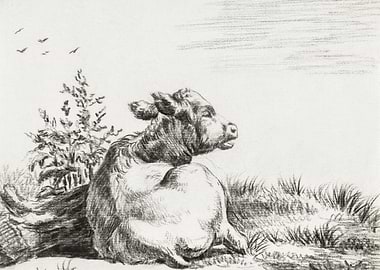 Lying Cow By Jean Bernard