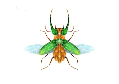 Geometric insect