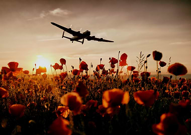 Over The Fields They Flew