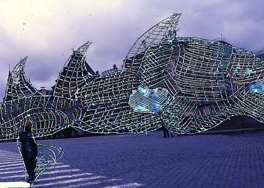 Big fish in the city