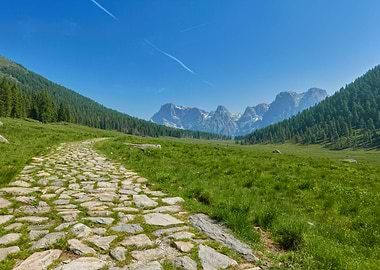 trail in the mountain for
