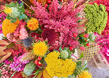 colorful floral compositio