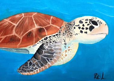 Green sea Turtle
