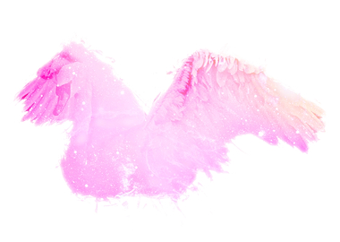 Pink Swan