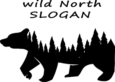 bear animal wild north lif