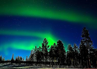 Lighting Up The Dark