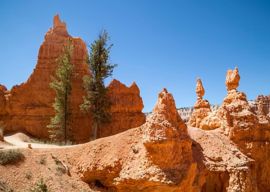 BRYCE CANYON Rocks
