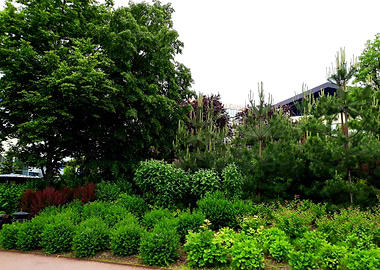 Park garden
