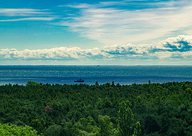 Sea Forest Sky Clouds