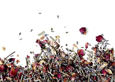 Dried Flowers and Herbs