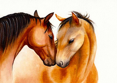 Horse love