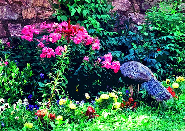 Peacock and flowers