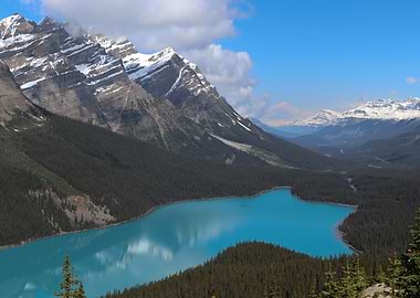 Lake Peyto