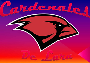 cardenales de lara