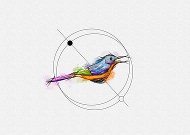 Color Bird