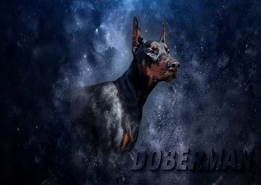 Dobermann