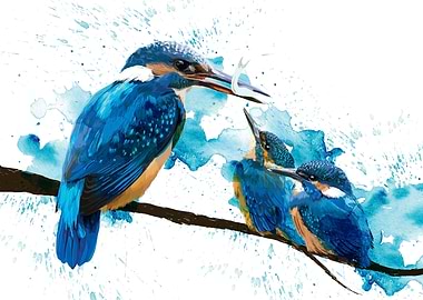 Kingfisher Family